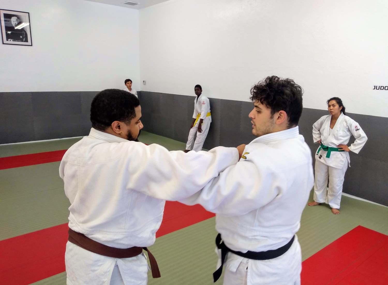 daytime judo