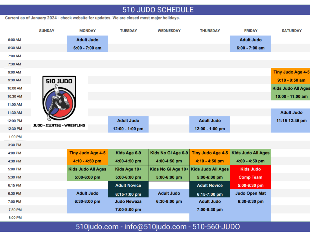 Tipos de randori en el judo y la diferencia entre randori y shiai